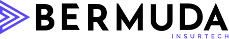 Bermuda LLC