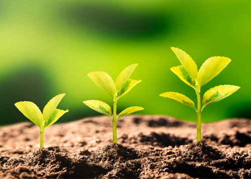 Commercial Sustainability