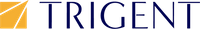 Company name - Trigent Software Inc