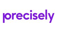 Company name - Precisely