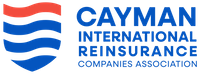 Company name - Cayman Finance