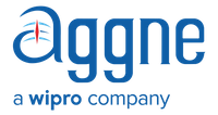 Company name - Aggne Global Inc
