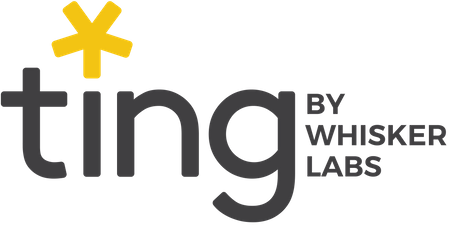 Ting by Whisker Labs