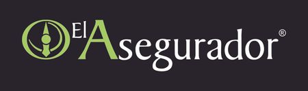 EL ASEGURADOR