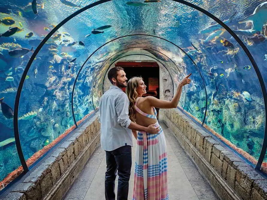 Mandalay Bay Aquarium