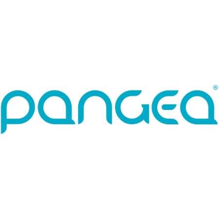 Pangea Money Transfer