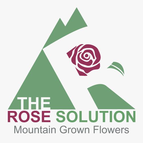 The Rose Solution