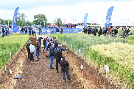 Niab Soil Hole