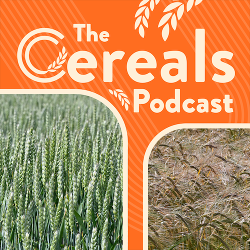 Cereals Podcast