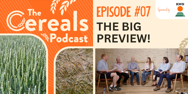 Cereals Podcast Episode 7