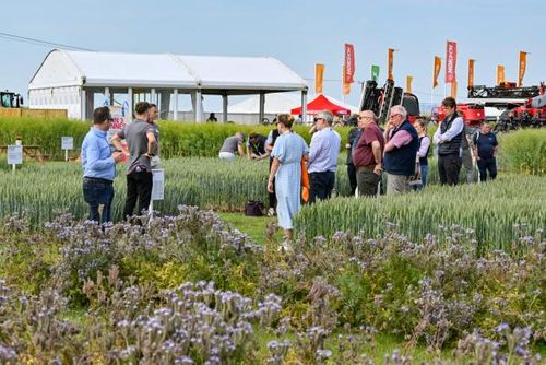 Agronomy Zone