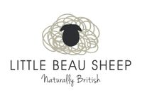 Company name - Little Beau Sheep Ltd