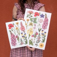 Company name - Drawn To Nature