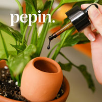 Company name - Pepin