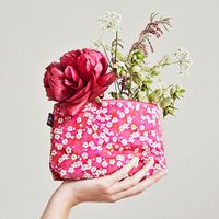 Company name - Alice Caroline Ltd