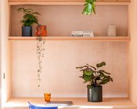 Company name - Concrete Jungle