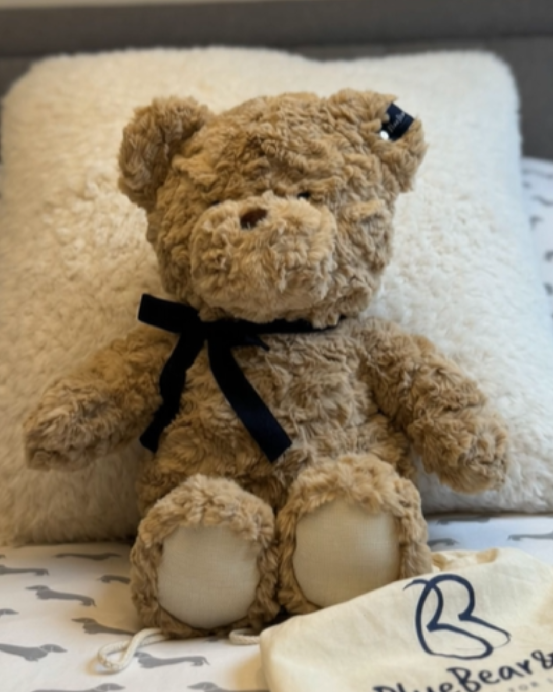 Brown Bear