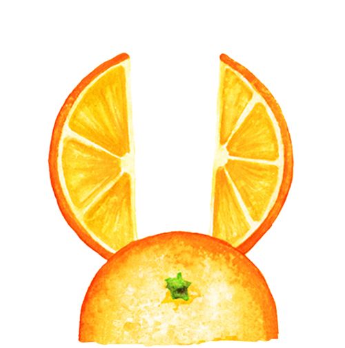 Citrus Bunn