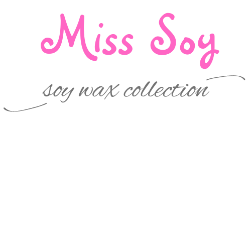Miss Soy Ltd