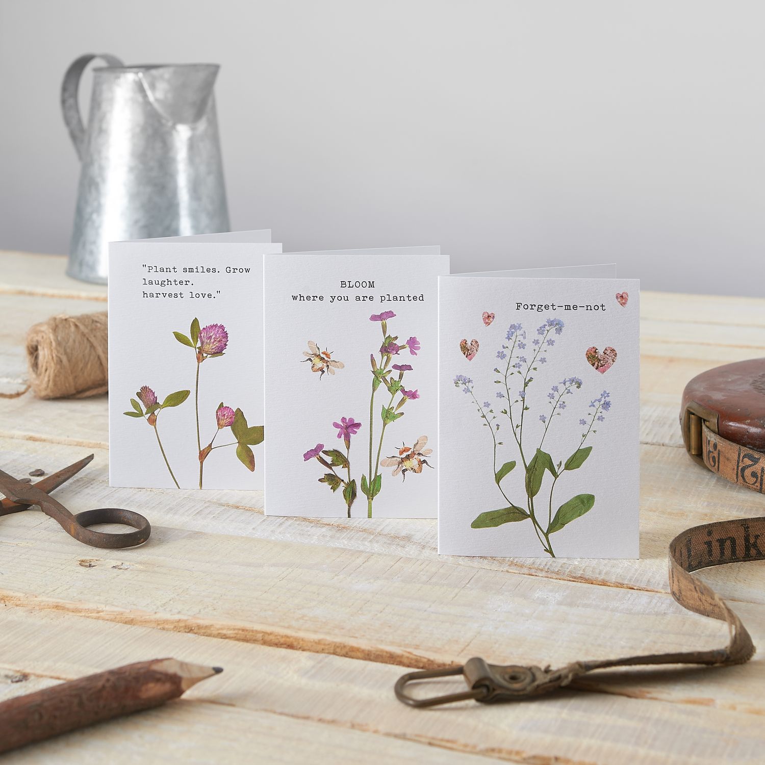 Seedlings Cards & Gifts Ltd