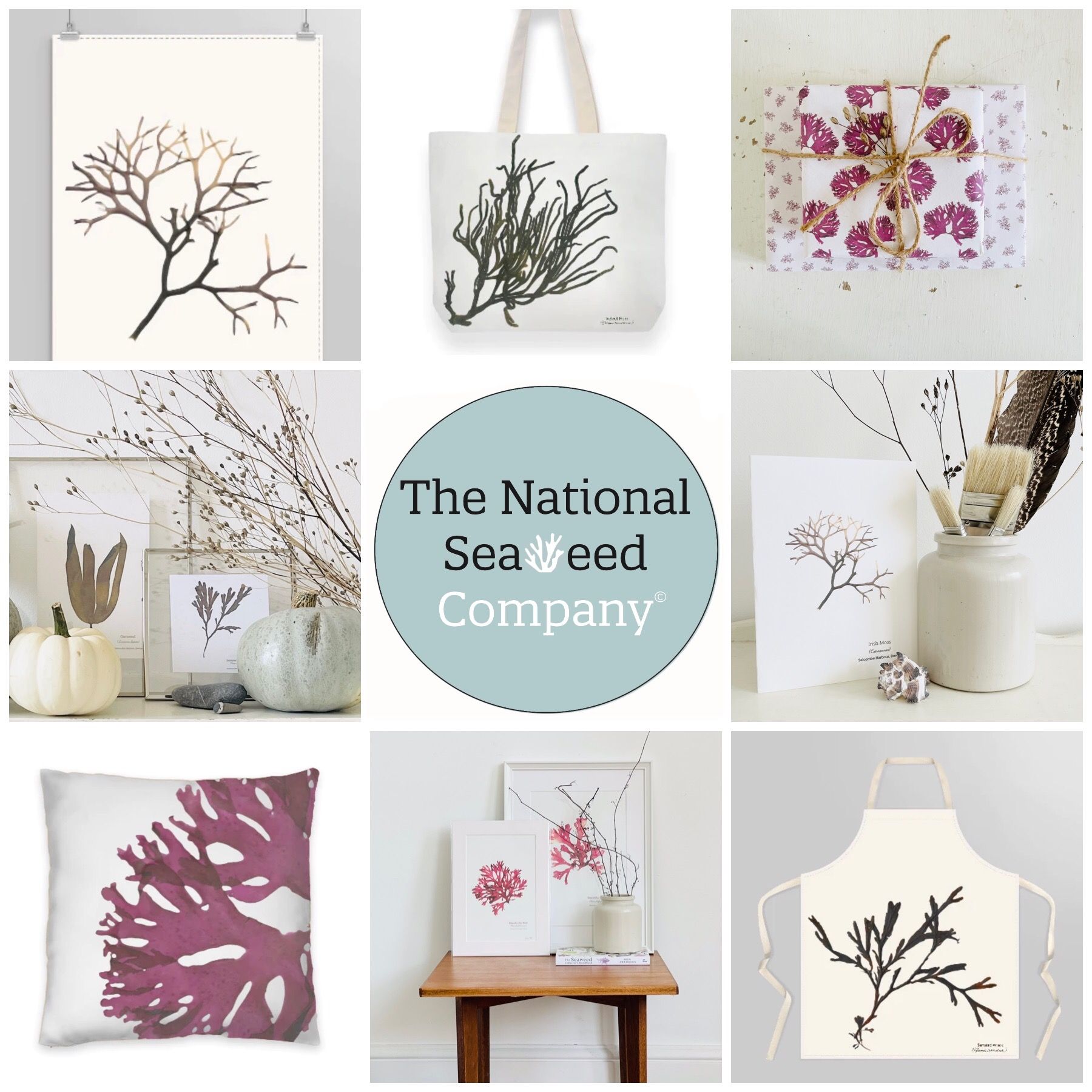 The Devon Seaweed Company