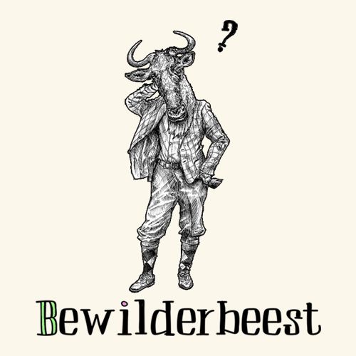 Bewilderbeest