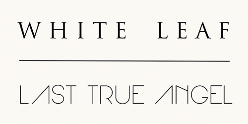 White Leaf & Last True Angel