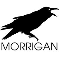 Company name - Morrigan Ltd