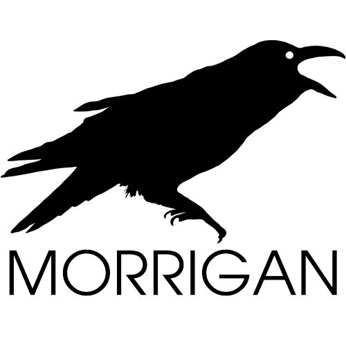 Morrigan Ltd
