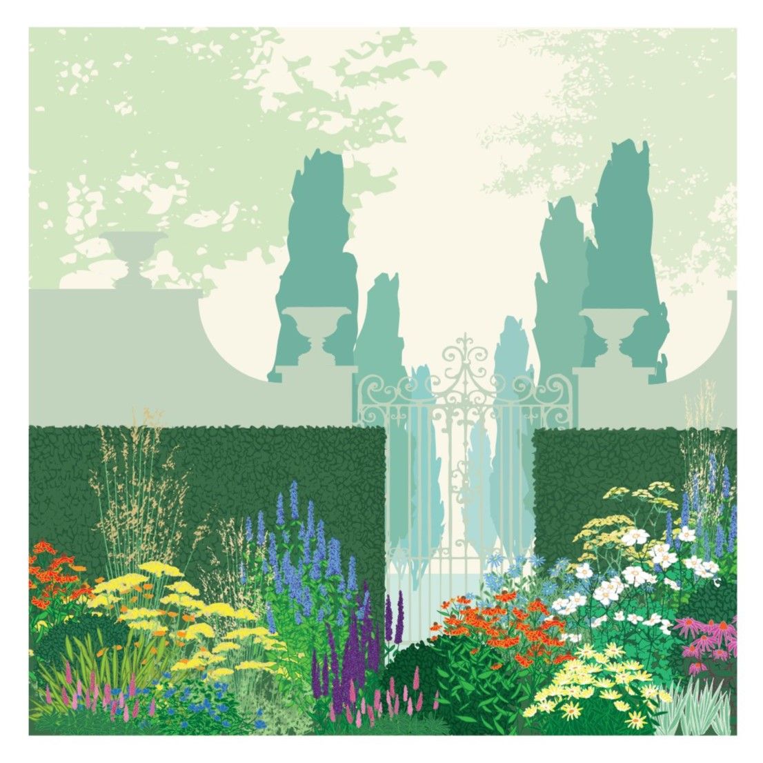 Umbellifer
