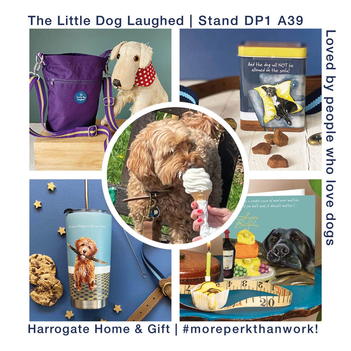 The Little Dog Laughed