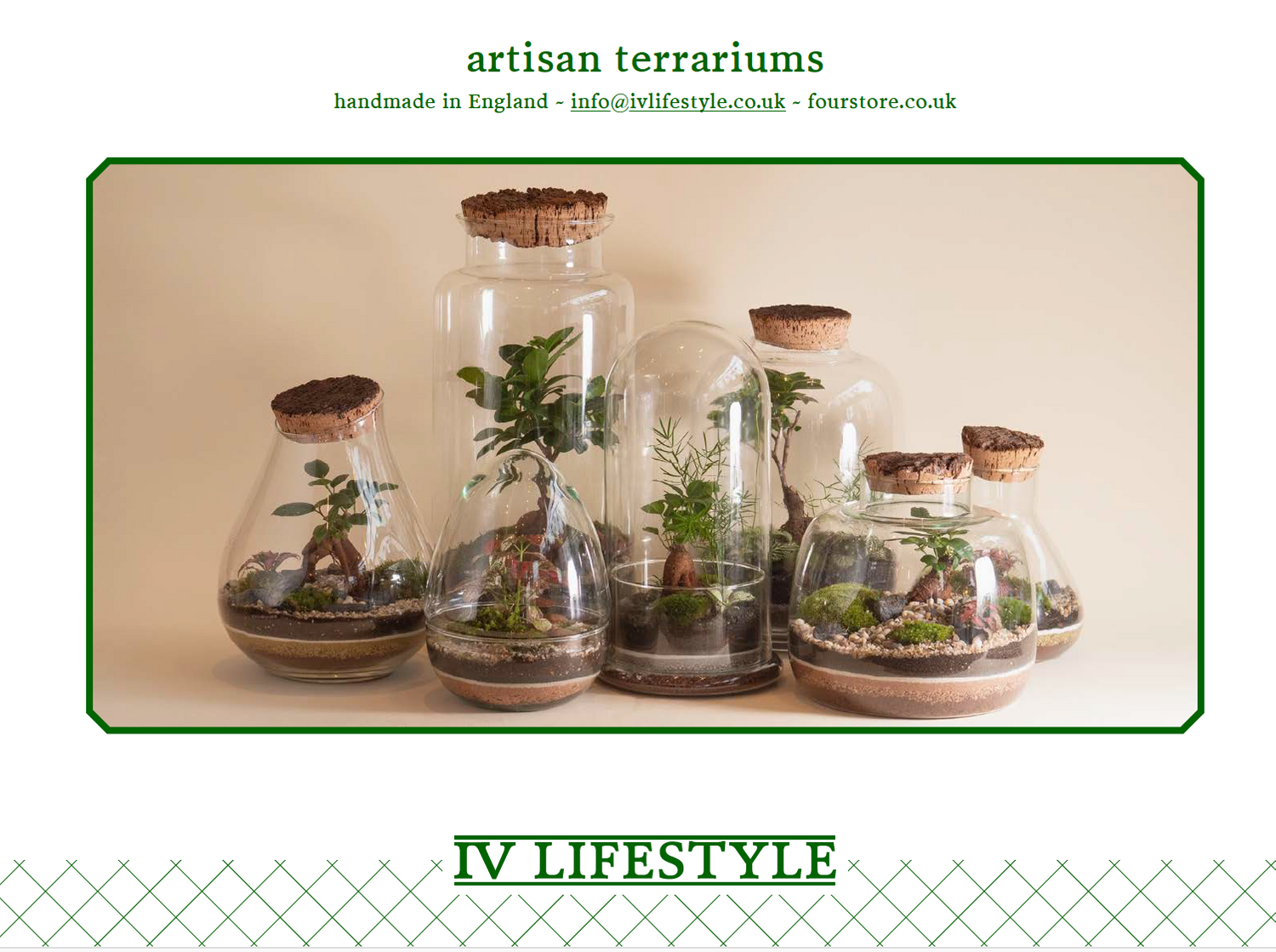 IV Terrariums Hydro Herb