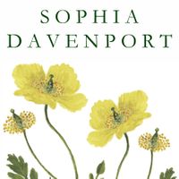 Company name - Sophia Davenport Ltd