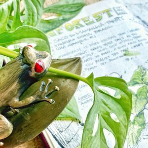 Introducing... The New Esterbrook Tree Frog Clip