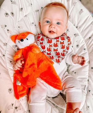 Ziggle Baby Launches New Range of Comforter Blankets