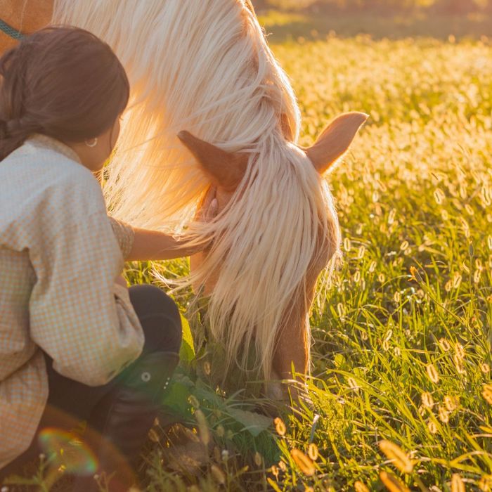 Natural Grooming and Leather Care, the Provençal Way
