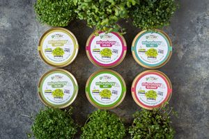 The Perfect Eco-Gift