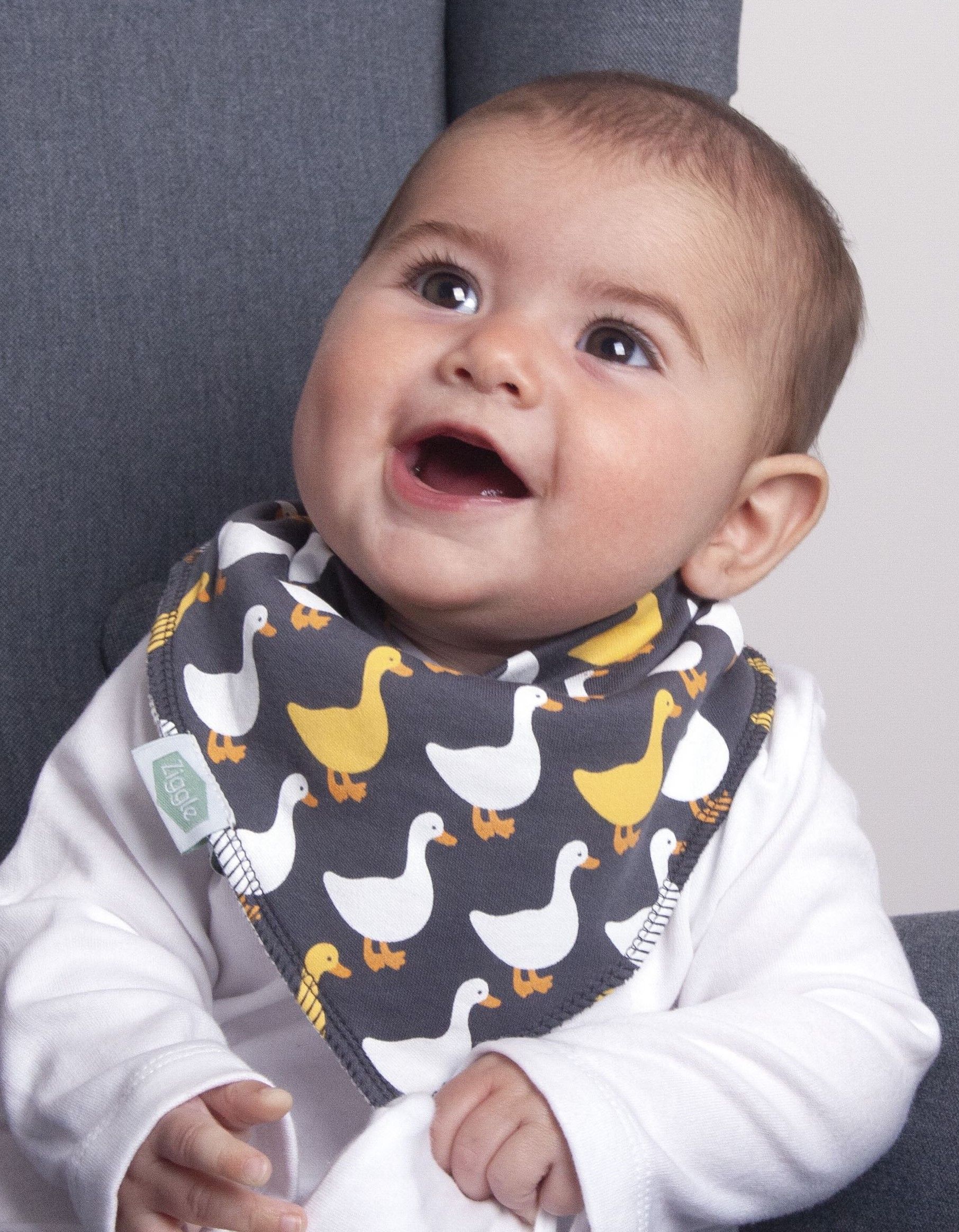 Ziggle Baby - Look Book