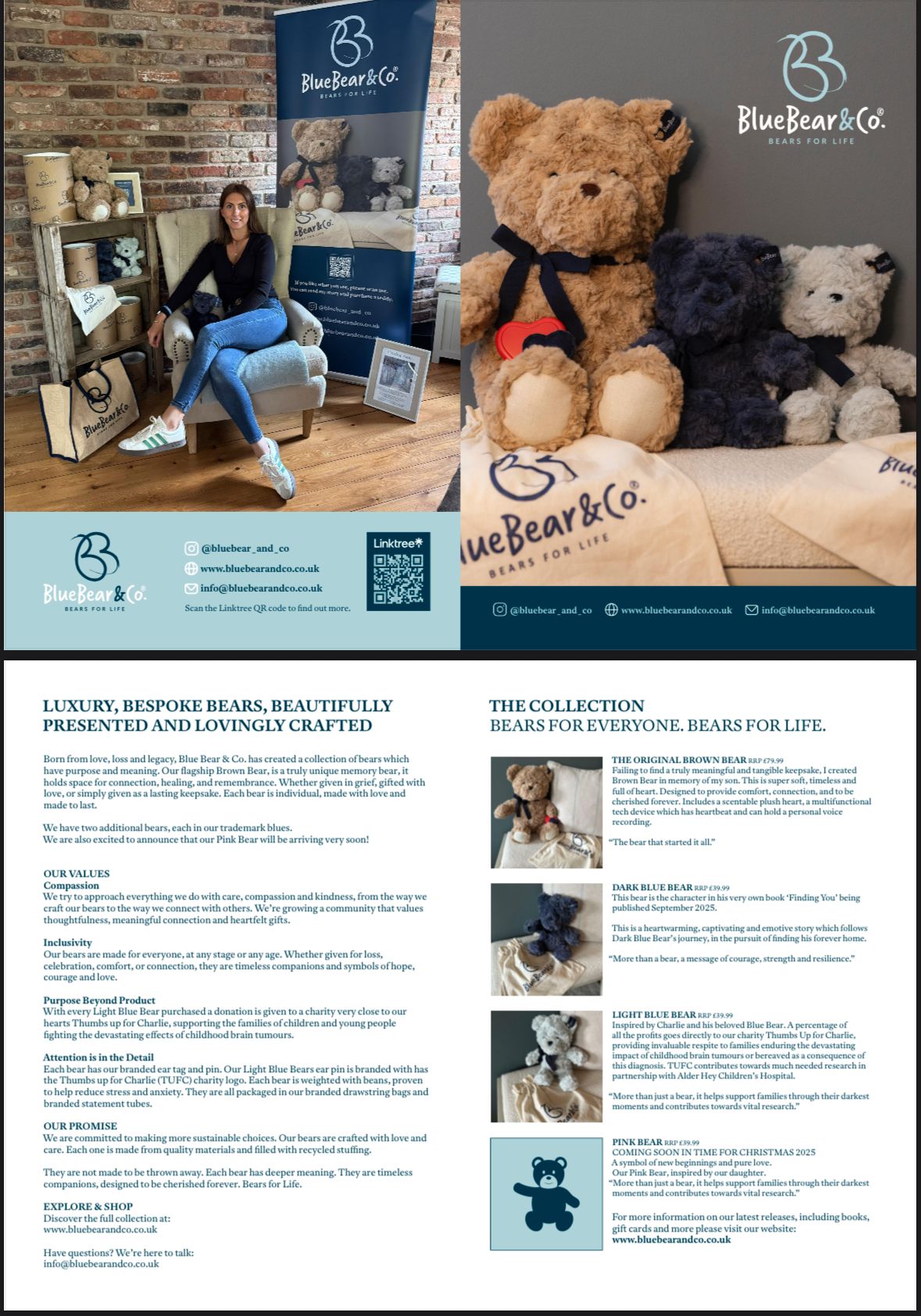 Blue Bear Brochure