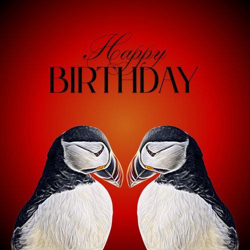 5C Designs Birthday Brights Range