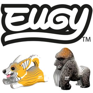 Brainstorm and EUGY