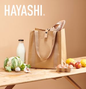 Hayashi Brochure