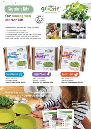 Superhero Brochure