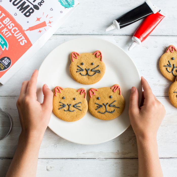 Cool cats biscuits kit