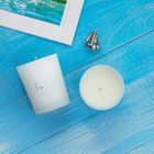 Scented Candle 190g 40+ Hr Burn Time