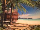 Gift Backdrop - Tropical Garden Beach Hut 6ft 6