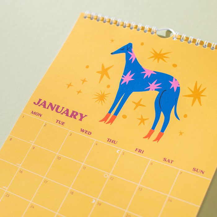 2024 Wall Calendar | Dogs & Doodles