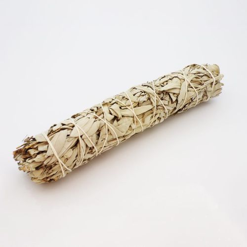 1 Pack of Californian White Smudging Sage (9 inch) (5 per pack)