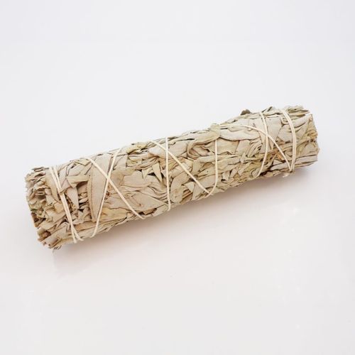 1 Pack of Californian White Sage Smudge Stick (7 inch) (5 Pk)