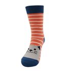 KS006 Girls Kitty Cats Socks Orange